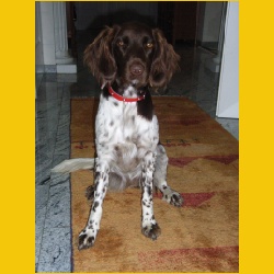 08Annybei Wien20060916-2.jpg